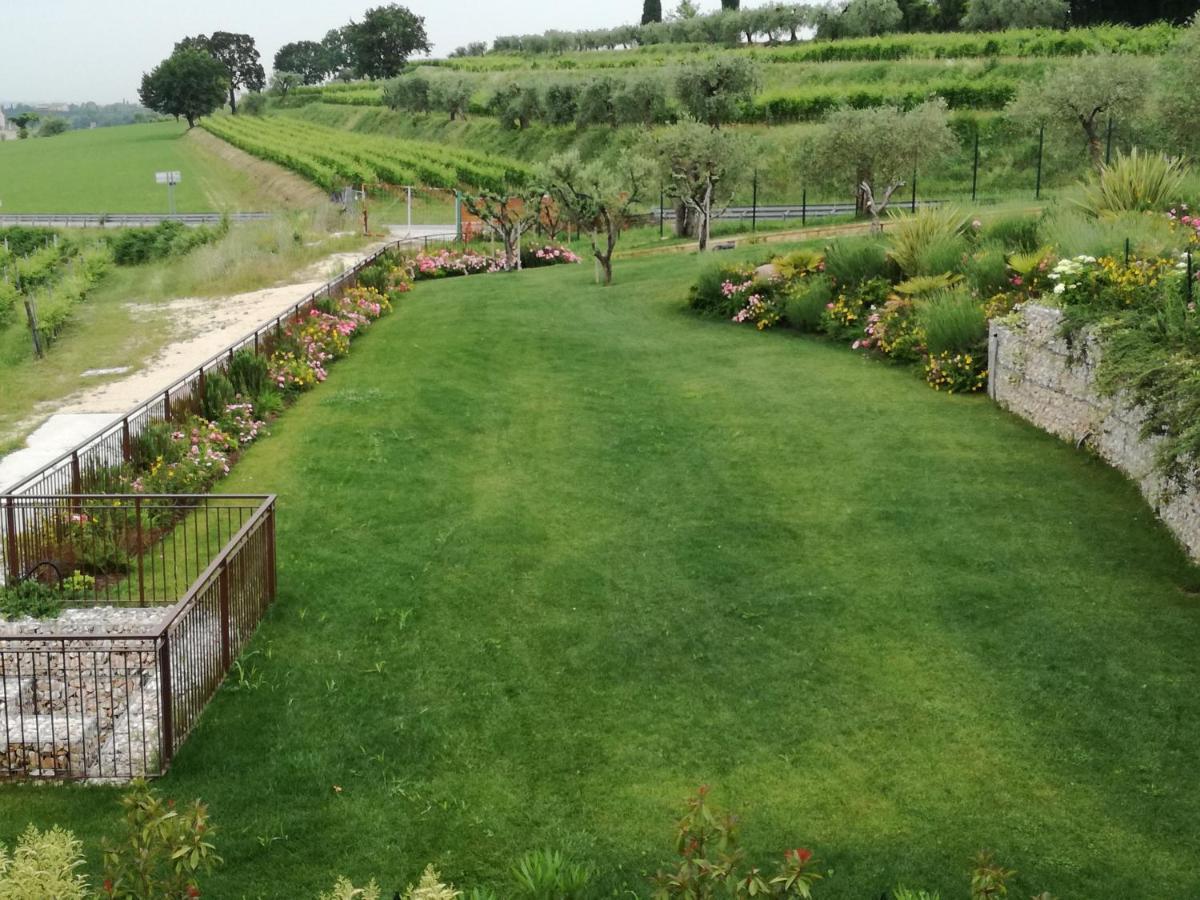 לאזיסה Agriturismo La Rondinella מראה חיצוני תמונה